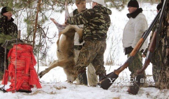 “星空·综合体育”外媒评好莱坞最具价值明星 朱莉皮特同上榜(图2) 星空·综合体育