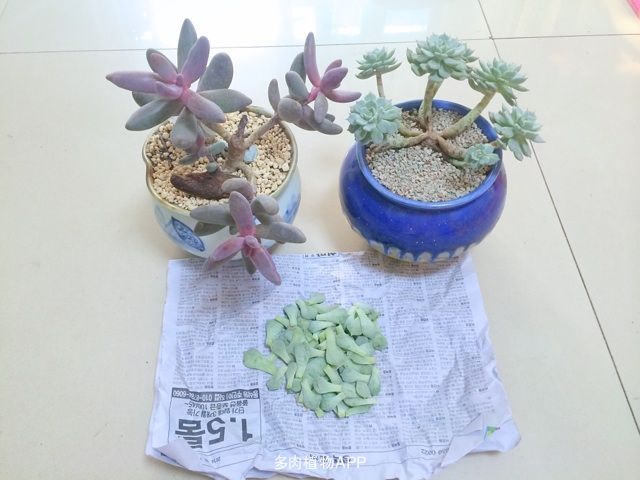 星空·综合体育