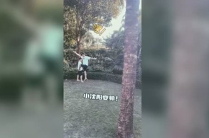 阿尔芭产后依旧丰满-星空·综合体育(图1) 星空·综合体育