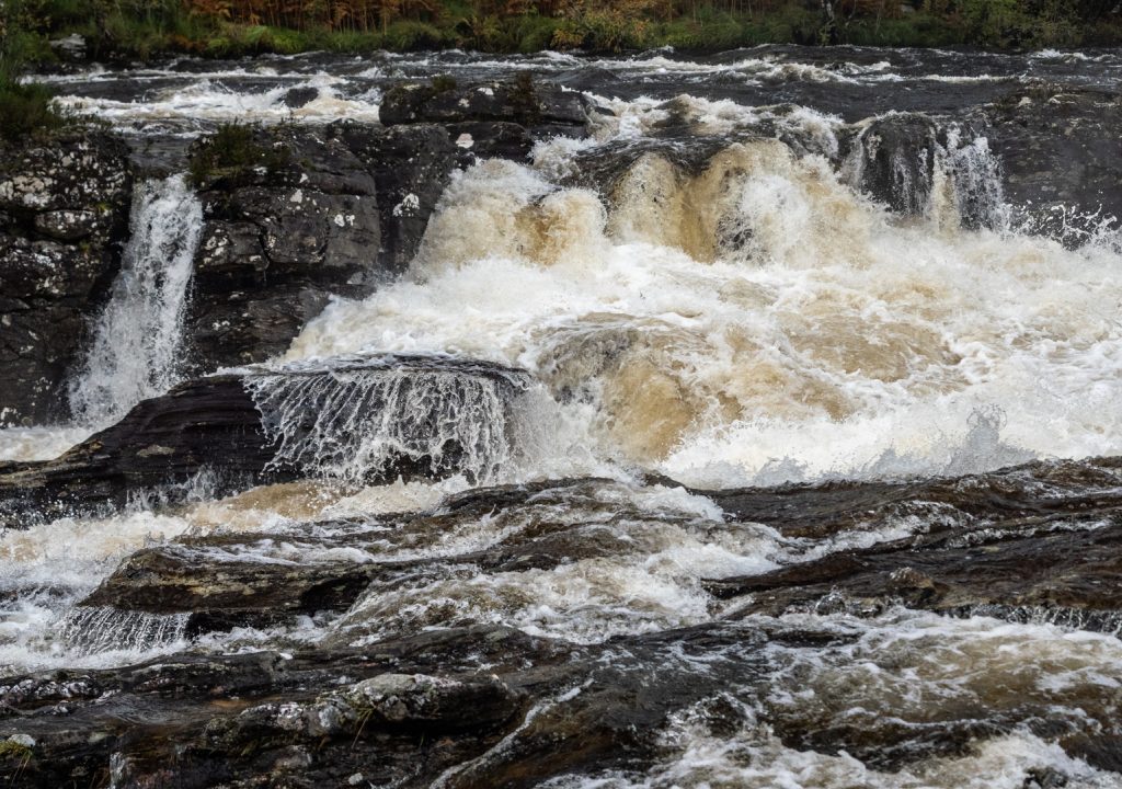 星空·综合体育_上街区中心路小学耿嘉含在河南广播电视台《向阳花开》少儿春晚当主持啦!(图3) 星空·综合体育